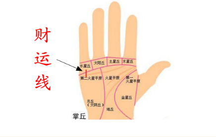 手掌财运线是哪一条手掌财运线又叫水星线,主要是位于小手指的底部,是
